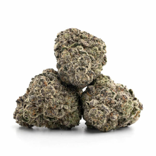 Amnesia Haze THCa Flower - Bulk Sativa Strain with Citrus and Earthy Notes