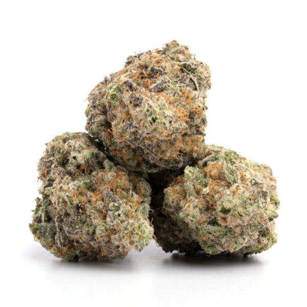 Cheese THCa Flower - Tangy Indica Cannabis Strain for Bulk Orders