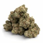 Gary Payton THCa Flower