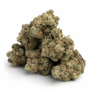 Close-up of Gary Payton THCa Flower featuring frosty trichomes and vibrant green buds with orange pistils.