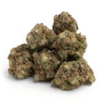 Gelato #41 THCa Flower