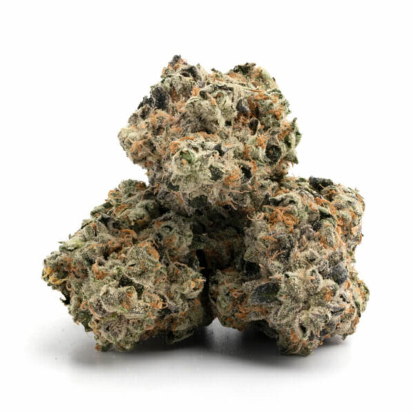 Critical Mass THCa Flower - Hefty Indica Cannabis Strain for Bulk Orders