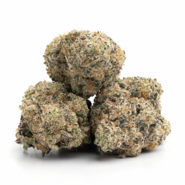 Girl Scout Cookies THCa Flower - Sweet Hybrid Cannabis Strain for Bulk Orders