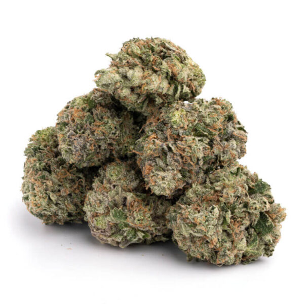 Governmint Oasis THCa Flower – dense green buds with trichomes, showcasing a minty, citrus aroma.