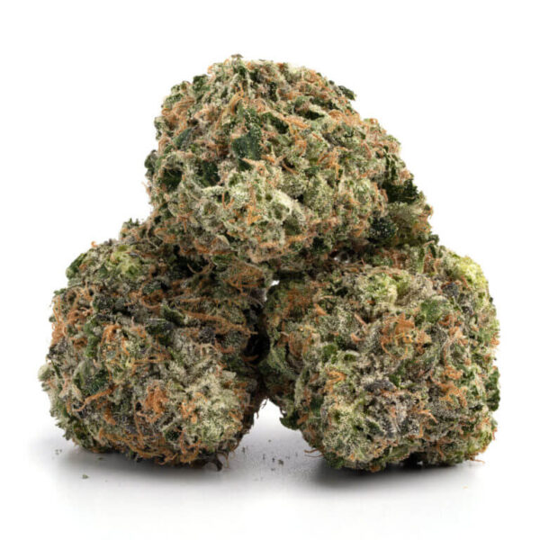 Governmint Oasis THCa Flower – dense green buds with trichomes, showcasing a minty, citrus aroma.