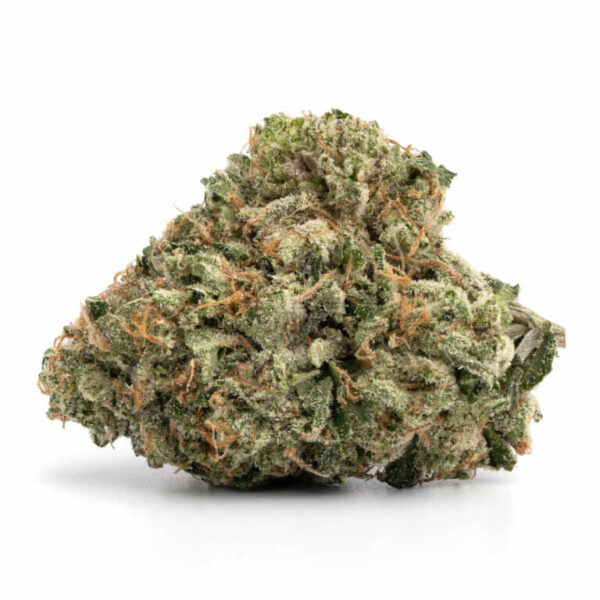 Governmint Oasis THCa Flower – dense green buds with trichomes, showcasing a minty, citrus aroma.