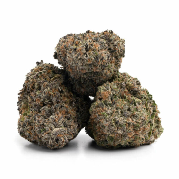 Grand Daddy Purple THCa Flower A Legendary Cannabis Strain for the Ages