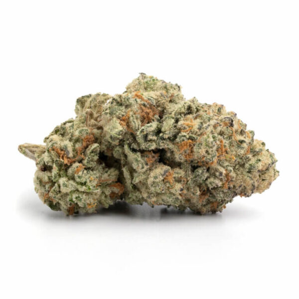 Island Sweet Skunk THCa Flower – vibrant buds with tropical aromas and bright green hues.