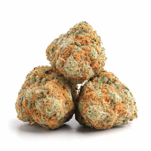 Jack Haze THCa Flower buds with bright green trichomes and orange pistils.