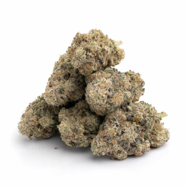 Jack Herer THCa Flower - Renowned Sativa Cannabis Strain for Bulk Orders