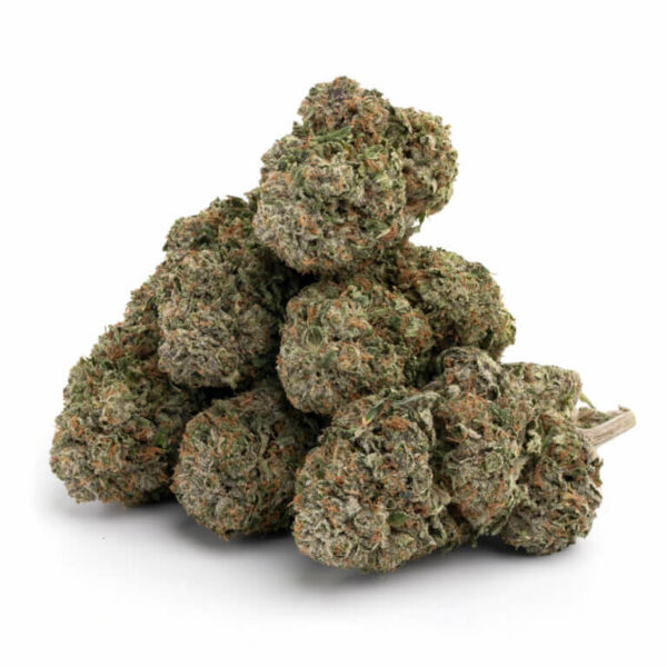 Jet Fuel Gelato Skunk THCa Flower – dense buds with rich green hues and hints of purple, covered in trichomes.