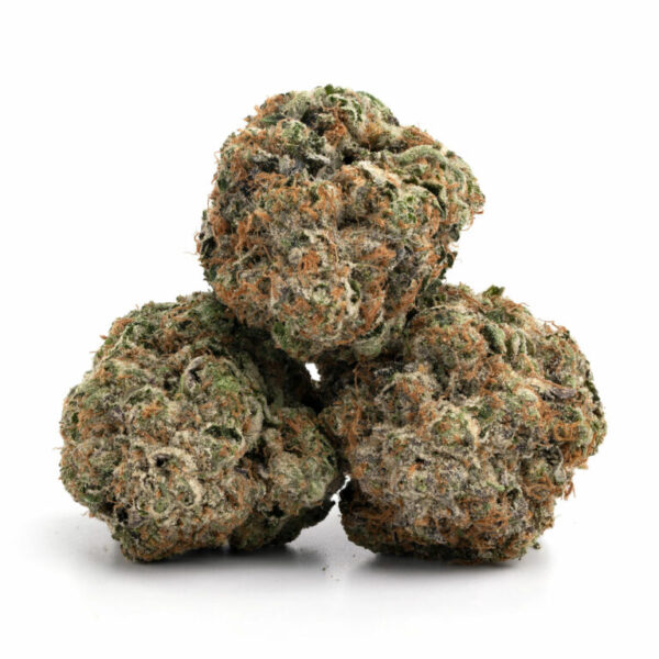 Lemon Haze THCa Flower - Bulk Sativa Cannabis Strain with Citrus and Earthy Flavors