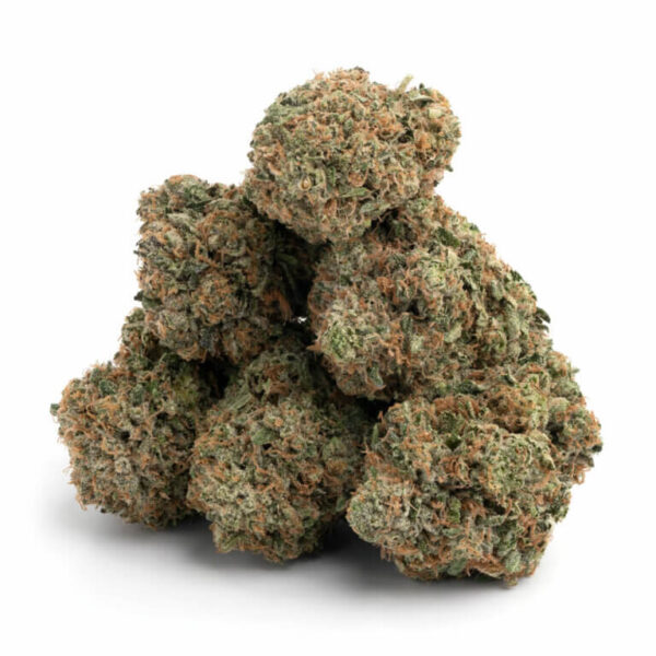 Master Kush Cake THCa Flower – dense buds covered in frosty trichomes with rich purple and green hues.