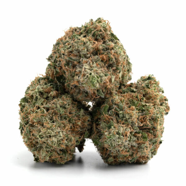 Master Kush Cake THCa Flower – dense buds covered in frosty trichomes with rich purple and green hues.