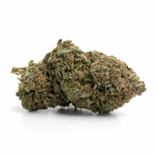 Master Kush Cake THCa Flower – dense buds covered in frosty trichomes with rich purple and green hues.