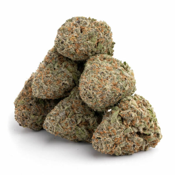 Mimosa Orange Punch THCa Flower – vibrant, citrus-scented buds with orange and green hues.