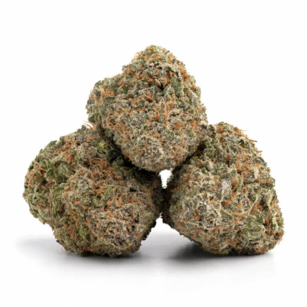 Mimosa Orange Punch THCa Flower – vibrant, citrus-scented buds with orange and green hues.