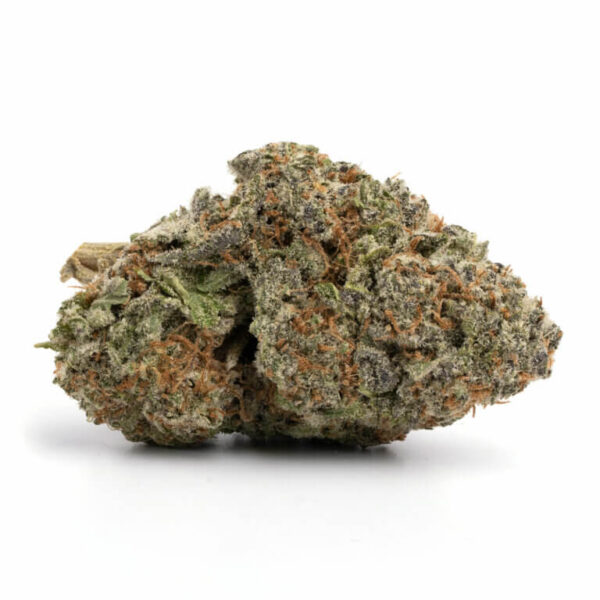 Mimosa Orange Punch THCa Flower – vibrant, citrus-scented buds with orange and green hues.