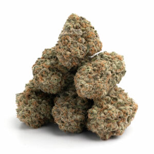 Moroccan Peaches THCa Flower – vibrant peach-colored cannabis buds with a frosty layer of trichomes.