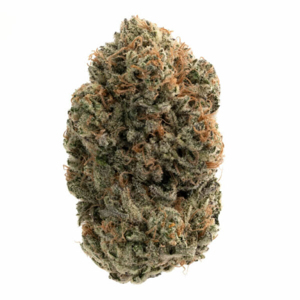 Moroccan Peaches THCa Flower – vibrant peach-colored cannabis buds with a frosty layer of trichomes.