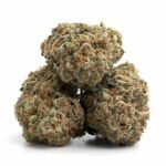 Purple Haze THCa Flower