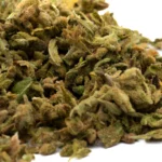 Gorilla Glue #4 Indoor High THCA Trim