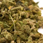 Zkittlez Indoor High THCA Trim