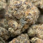 Amaretto Mintz Exotic THCA Flower