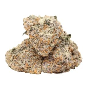 9 Pound Hammer Cannabis Strain – Wholesale & Bulk Purchase Overview The 9 Pound Hammer Cannabis Strain is a high-demand, indica-dominant flower widely sourced by licensed wholesalers, dispensaries, and retail buyers. Known for its strong potency, dense buds, and consistent consumer demand, this strain performs exceptionally well in bulk cannabis purchasing programs. For buyers seeking reliable inventory that moves quickly at retail, 9 Pound Hammer Cannabis Strain remains a top-performing SKU in both medical and recreational markets. Why Wholesale Buyers Choose 9 Pound Hammer Cannabis Strain Wholesale and transactional buyers consistently select this strain for several key reasons: Proven retail sell-through Strong brand recognition High THC test consistency Excellent bag appeal in bulk quantities Suitable for flower, pre-rolls, and extraction The 9 Pound Hammer Cannabis Strain appeals to repeat buyers, making it a dependable choice for long-term purchasing contracts. Bulk Formats Available for Purchase Wholesale buyers commonly source 9 Pound Hammer Cannabis Strain in the following formats: Bulk flower (ounces, half-pounds, full pounds) Pre-packaged wholesale jars Pre-roll input material Extract and concentrate biomass This flexibility allows distributors and retailers to tailor purchases based on market demand and shelf strategy. Retail Demand & Sell-Through Performance From a transactional standpoint, the 9 Pound Hammer Cannabis Strain excels because: It is frequently recommended as a “nighttime indica” Consumers actively seek it for pain and sleep support It has a strong reputation among experienced users Retailers report faster turnover when positioning this strain as a premium indica option, especially in evening-use categories. Ideal Buyers for 9 Pound Hammer Cannabis Strain Wholesale This product is best suited for: Licensed cannabis wholesalers Dispensary chains Independent retail dispensaries Cannabis distributors White-label and private-label brands Because of its consistency and recognition, the 9 Pound Hammer Cannabis Strain is ideal for both spot purchases and recurring wholesale orders. Wholesale Purchasing Benefits When sourcing the 9 Pound Hammer Cannabis Strain in bulk, buyers benefit from: Predictable quality across batches Scalable order volumes Competitive wholesale margins Reduced inventory risk due to high demand Its performance across multiple product categories also helps maximize ROI per pound. Frequently Asked Questions (Transactional Focus) Is 9 Pound Hammer Cannabis Strain available for wholesale purchase? Yes, it is commonly offered by licensed growers and distributors for bulk purchase. Does this strain sell well at retail? Yes, it has strong repeat-customer demand and fast shelf turnover. Is it suitable for pre-roll and extract production? Absolutely. Its dense, resin-rich buds perform well in both applications. Is this strain better for medical or recreational markets? Both. It performs strongly in each segment. Can retailers position it as a premium product? Yes, especially due to potency, effects, and visual appeal. Is 9 Pound Hammer a good strain for long-term wholesale contracts? Yes. Its stability and consistent demand make it ideal for ongoing supply agreements. Wholesale & Purchase Intent Summary If your goal is sales, leads, and bulk inquiries, the 9 Pound Hammer Cannabis Strain is perfectly suited for transactional SEO targeting. With proven demand, strong margins, and flexible bulk formats, it remains a reliable strain for wholesale cannabis buyers and retail operators.