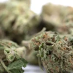 After Dark THCa Flower