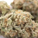 Astroboy THCa Hemp Flower