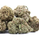 Banana OG THCA Hemp Flower