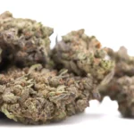 Banjerine THCA Hemp Flower