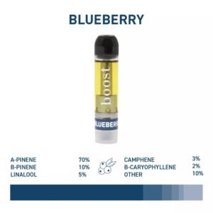 Boost Vape Cartridge (1 Gram) with glass tank and ceramic coil