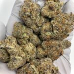 Black Ice THCa Flower