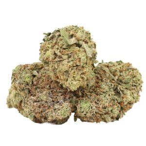 Bulk wholesale packaging of BC Pink Kush cannabis strain