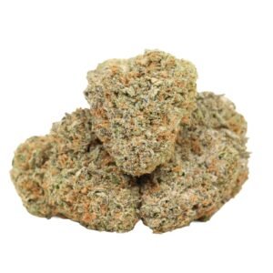Bulk-wholesale-packaging-of-Banana-Runtz-cannabis-strain