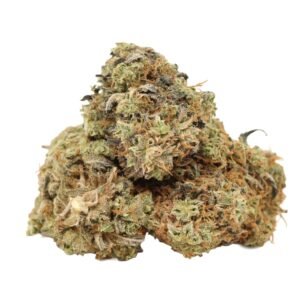 Bulk wholesale packaging of Black Widow cannabis strain