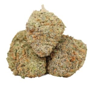 wholesale sativa hybrid cannabis strain UK