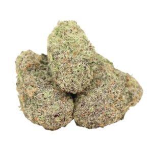 Bulk wholesale packaging of Laughing Buddha sativa cannabis strain