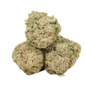 wholesale sativa hybrid cannabis strain UK