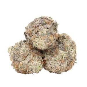 Bulk wholesale packaging of White Widow hybrid cannabis strain with characteristic frosty white trichome coating