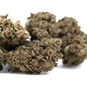 Canal Street Runtz THCA Hemp Flower