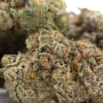 Chicken & Waffles Indoor THCa Flower