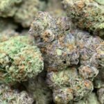 White Gumbo THCa Flower