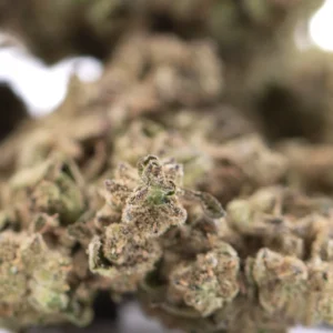 Fornicator THCA Hemp Flower