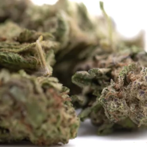 Gas Monkey THCa Flower