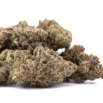 Gassa Purple THCA Hemp Flower