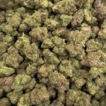 Girl Crush THCA Flower