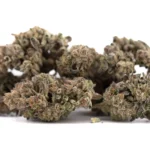 Hooch THCa Hemp Flower